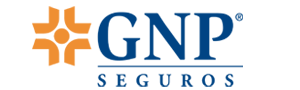 GNP