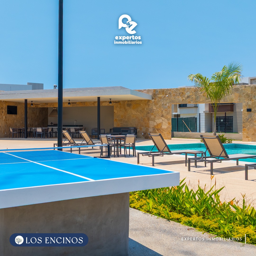 Ping pong