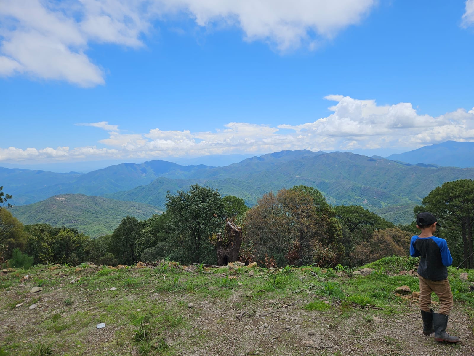 Terrenos San Sebastián