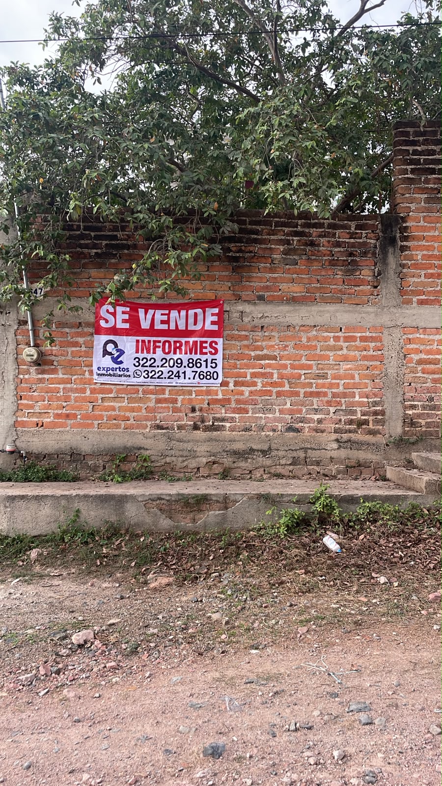 Fotografía 3